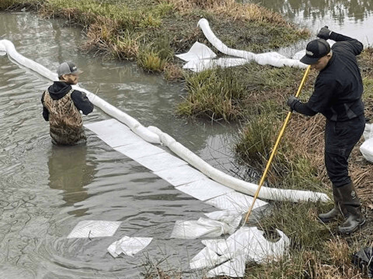 Environmental cleanup team at work in marsh